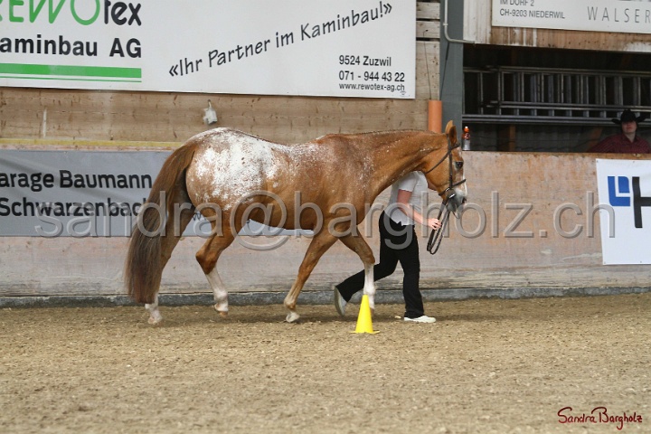 24-ApHC HIH_094.jpg